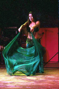 Sonya's Souk - Belly Dance - Costumes